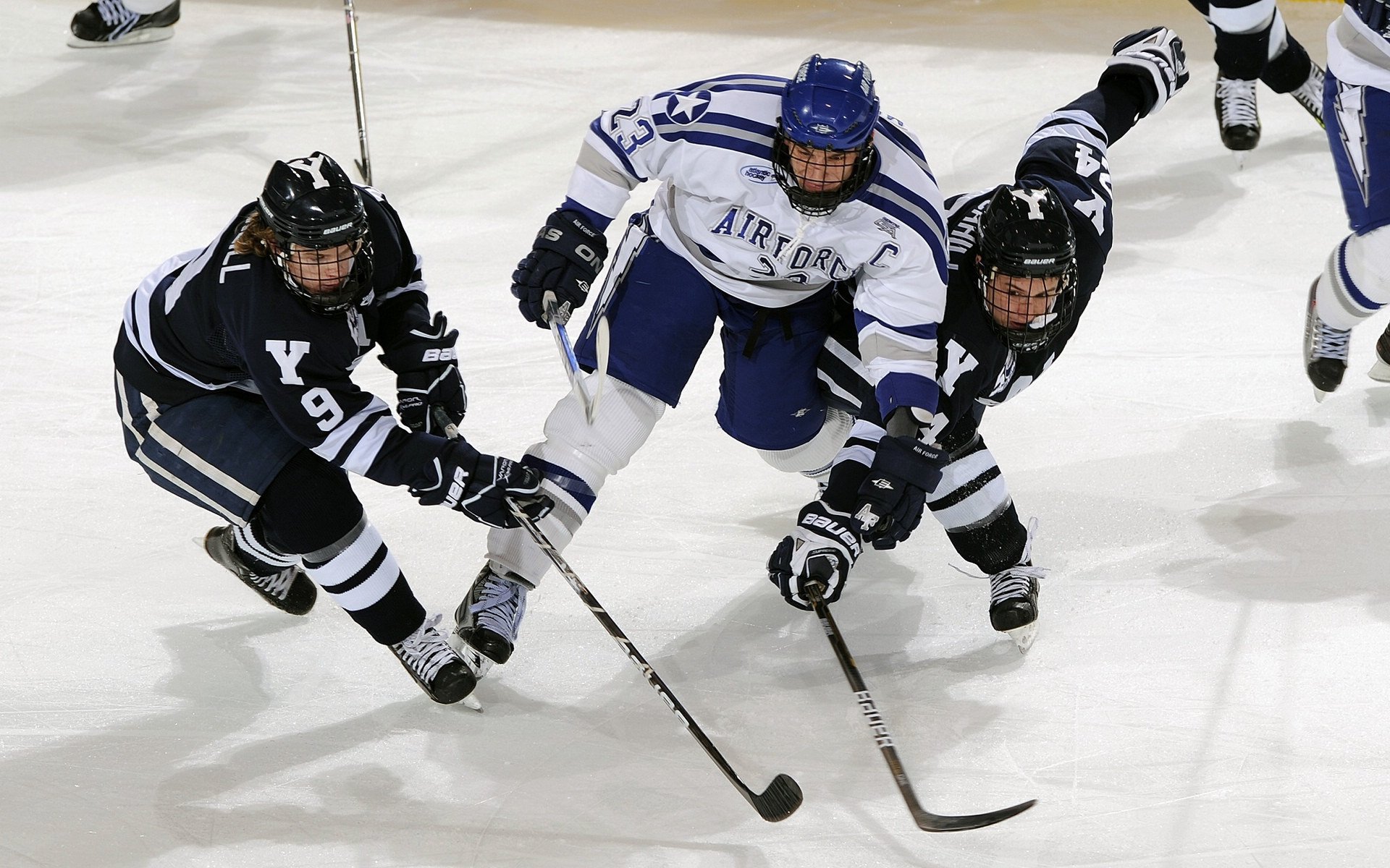 开云体育APP下载-爱尔兰橄榄球青训成功与全球接轨，爱尔兰篮球队